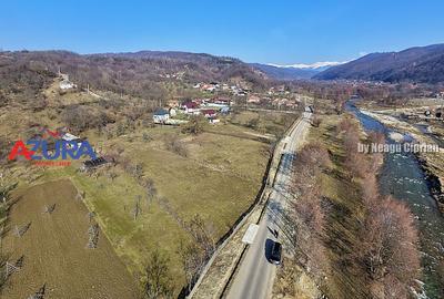 Teren 2500 mp în natură, Valea Bratia, priveliște spre munți - 7