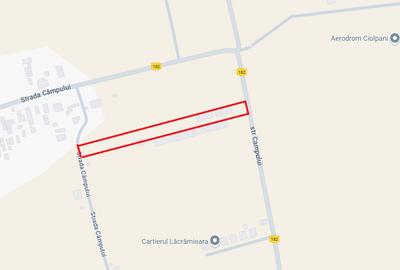 CIOLPANI, LOT 5.000 MP, HALE INDUSTRIALE! - 8