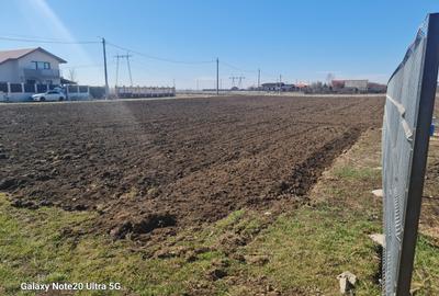 Vand teren intravilan supraf 638 mp com Branesti Vadu Anei pretabil construcție - 3