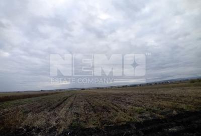 TEREN | Radauti | 6.000 mp | 62.800 EURO - 3