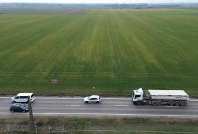 Teren intravilan 5.233 mp, D=16 ml, STRADA PRINCIPALA,zona ONASIS - 10