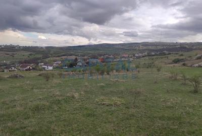 Comision 0! teren intravilan 5500mp, utilitati,  zona, strazii Veseliei Borhanci - 3