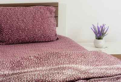 2 Camere | Bd. Unirii - Zepter | Decomandat | Renovat - 7