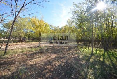 Snagov Ciofliceni Mânastire- Teren 1432 Mp, D 60 M, Curent Gaze Asfalt - 7
