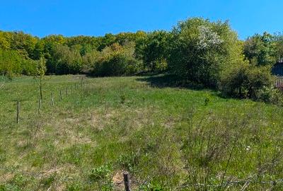 Teren intravilan de vânzare – zonă liniștită, priveliște, superidal pentru casă - 3