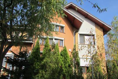 SNAGOV vila  spatioasa, garaj, panouri fotovoltaice, teren 1000mp - 14