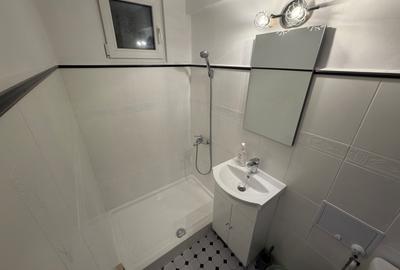 Cismigiu apt 2 camere renovat, mobilat, balcon, centrala proprie, lista U3 - 13