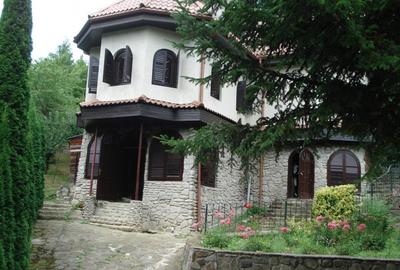 Campina Valea Doftanei Sotrile Paltinu - 1