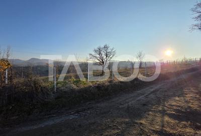 Teren 1974 mp intravilan de vanzare in Loman judetul Alba - 5