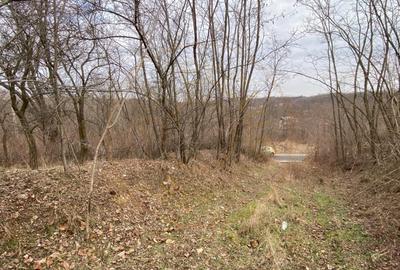 Teren cu panorama superba + padure Albota  Gura Văii  Arges - 1