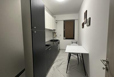 Novum 56 Gorjului Timisoara - 2 Camere Decomandat Prima Chirie Parcare - 8