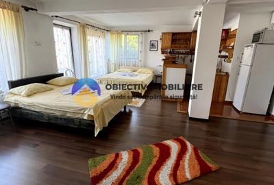 Pensiune de vanzare Dva Rosie Neamt la DN - 6