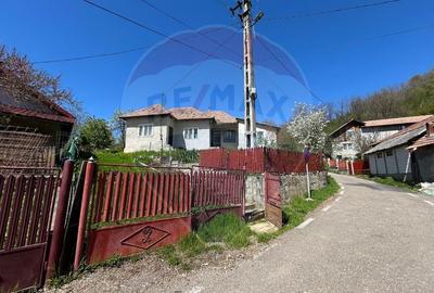 Casa bunicilor, cu gradina, Lera, Buzau! - 17