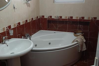 Spatiu comercial si Vila rezidentiala, Bucuresti, Dr. Taberei, Lidl Moinesti. - 14