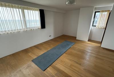 Penthouse spectaculos Faleza Nord - 13