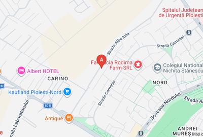 Vila cu 3 apartamente  la parter,etaj  si mansarda - 17