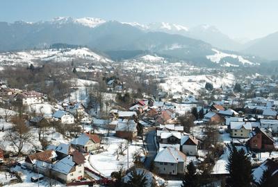 Teren Intravila la 2km de Castelul Bran - 9