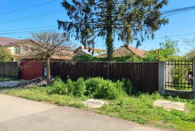 Moara Vlasiei, 320 MP, asfalt+utilitati, urbanism+avize - 35.000 EUR - 4