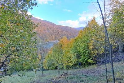 Vand teren cu vedere la lac, Valea Doftanei,Strada Lacului - 2