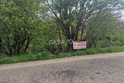 Teren Intravilan (671 mp),situat in Tetila - Bumbesti-Jiu - 4