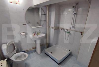 Casa 7 camere, 280mp, zona Brazda lui Novac - 9