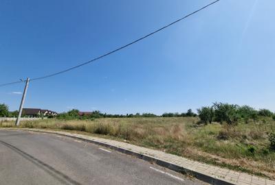 Teren de vanzare in Loc Domnesti - Tudor Vladimirescu - 7