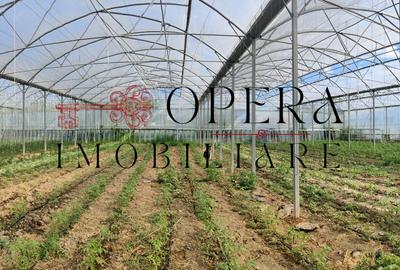 Teren intravilan 5000mp+Cladire265mp + Sera(2500mp), Rediu Aldei-Aroneanu - 1