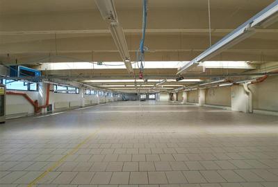 Spatiu industrial, Birouri, 3290 mp utili, situat in cartierul Iris! - 8