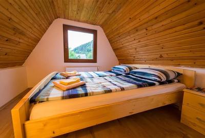 De vanzare casa de vacanta/locuit  in Lunca Bradului - 6