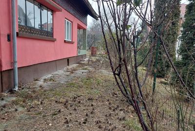 Casa vacanta Breaza - 8