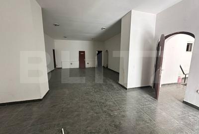 Spatiu comercial, 293 mp/129 mp, zona ultracentrala cu Vad - 1