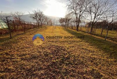 Teren de Vanzare – 1172 mp – Dumbrava Rosie, Neamt - 1