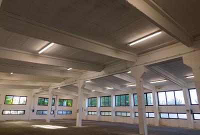 Hală industrială cu multiple destinații în Nădlac - 31