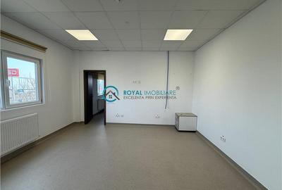 Royal Imobiliare-  Spatiu Industrial Zona Exterior Vest - 13
