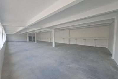 Spatiu industrial, 439 mp utili, situat in zona Taietura Turcului! - 2