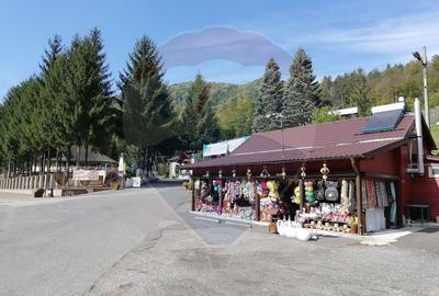 Resort Montan & Oportunitate de Investiție – Poiana Sărată - 10