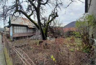 Casa traditionala cu anexe si gradina,Zona Nasaud - 14