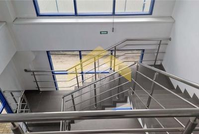 Hala industriala de vanzare in loc. Sfantul Gheorghe, jud. Covasna - 20