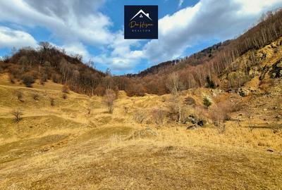 SIRIU - Oportunitate de investitie | Teren cu PUZ | Intre Lac si Padure - 16