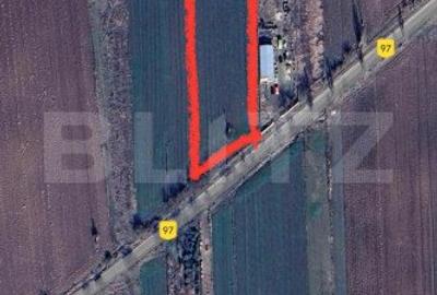 Teren intravilan 6000 mp in Bucovat - 1