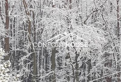 VILA D+P+E+M, 12 camere, piscina , padure, IANCU NICOLAE - 39