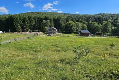 Teren intravilan Traisteni, Valea Doftanei – 2.290 mp, deschidere mare, padure - 8