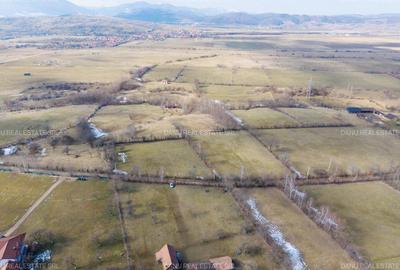 Bran Sohodol,5967mp+teren bonus,intravilan constructii P+E+M,comision0 - 15