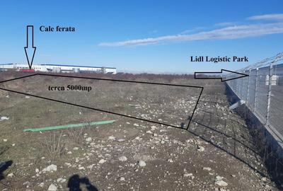 Teren 5000mp intravil langa Carrefour Militari Chiajna si Lidl Logistic park - 7