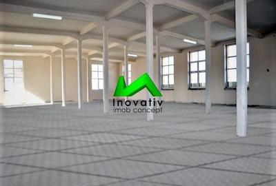 Hale de inchiriat depozitare productie Sibiu Cisnadie - 6