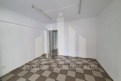 Spatiu comercial | De inchiriat | 153 mp | Cetate - 4