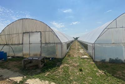 Teren agricol extravilan de 5000 mp, în Udeni-Zăvoi