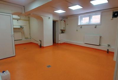 Basarabia-Chisinau, depozitare/birouri/activitati recreative, 100 m.p. - 10