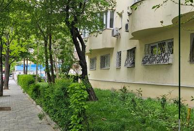 Lacul Tei, Parcul Tei, Facultate, 36mp, PVC, 1986 reabilitat - 6