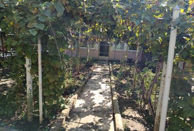 De vanzare Casa, zona Olimpia - 4